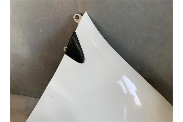 Recambio de aleta delantero derecha para renault clio iii 1.5 dci (br17, cr17) referencia OEM IAM 631003362R  