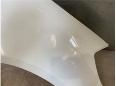 Recambio de aleta delantero derecha para renault clio iii 1.5 dci (br17, cr17) referencia OEM IAM 631003362R  