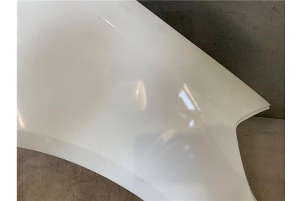 Recambio de aleta delantero derecha para renault clio iii 1.5 dci (br17, cr17) referencia OEM IAM 631003362R  