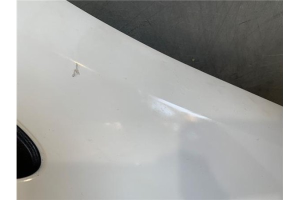 Recambio de aleta delantero derecha para renault clio iii 1.5 dci (br17, cr17) referencia OEM IAM 631003362R  