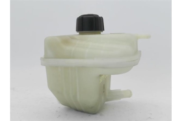 Recambio de botella expansion para nissan qashqai (j10) 1.6 360 referencia OEM IAM   