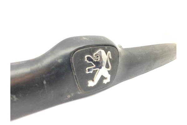 Recambio de moldura porton trasero para peugeot 206 1.4 i referencia OEM IAM 9629038877  