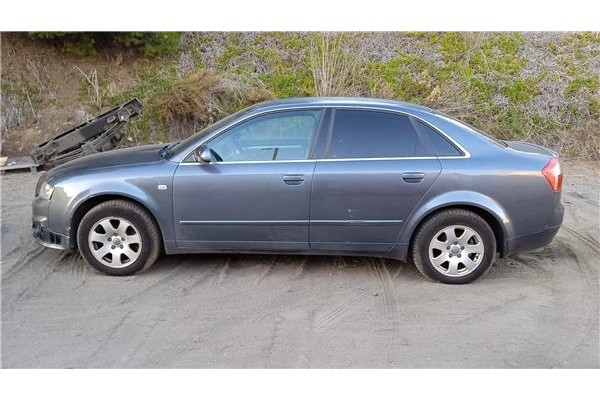 audi a4 berlina (8e) del año 2002
