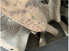 Recambio de tubo escape completo para seat ibiza (kj1) 1.0 style referencia OEM IAM 2Q0253611N 2Q0120A 