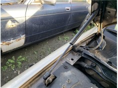 AMORTIGUADOR CAPO C2S1927 