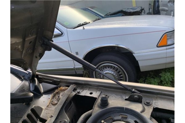 Recambio de amortiguador capo para jaguar x-type 2.0 d executive referencia OEM IAM C2S1927  