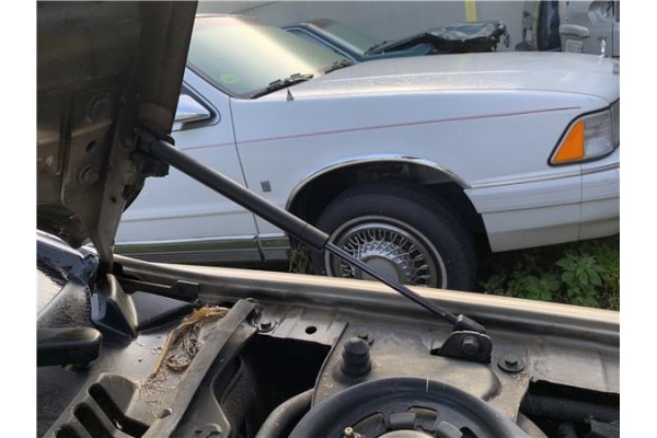 Recambio de amortiguador capo para jaguar x-type 2.0 d executive referencia OEM IAM C2S1927  