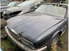 Recambio de capo para jaguar xj6/12 3.6 xj6 referencia OEM IAM JLM1766  