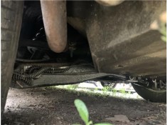 PUENTE TRASERO CBC1820 