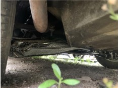 Recambio de puente trasero para jaguar xj6/12 3.6 xj6 referencia OEM IAM CBC1820  