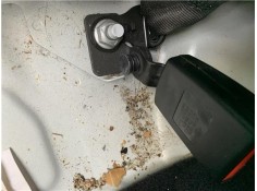 Recambio de anclaje cinturon trasero derecho para opel astra j berlina 5p 1.6 selective referencia OEM IAM 13354870  