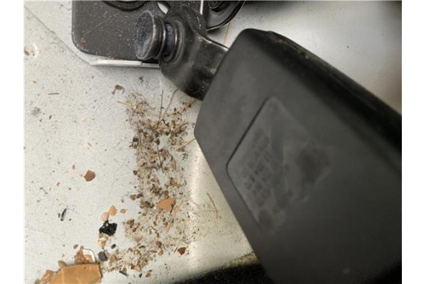 Recambio de anclaje cinturon trasero derecho para opel astra j berlina 5p 1.6 selective referencia OEM IAM 13354870  