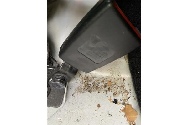 Recambio de anclaje cinturon trasero derecho para opel astra j berlina 5p 1.6 selective referencia OEM IAM 13354870  