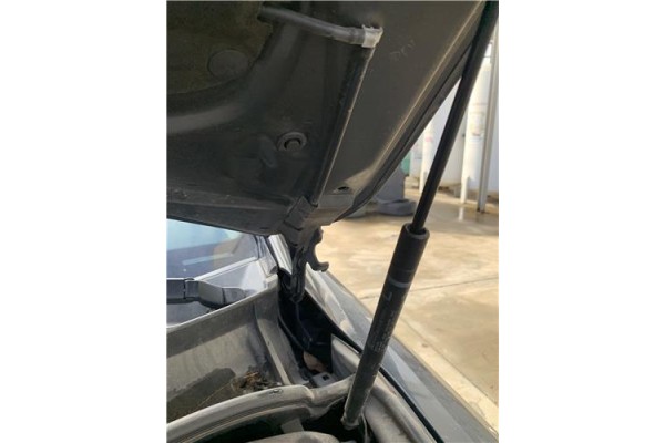 Recambio de bisagra capo izquierda para lexus is ii (_xe2_) 220 d (ale20) referencia OEM IAM 5342053020  