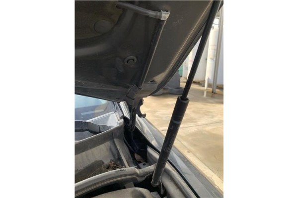 Recambio de bisagra capo izquierda para lexus is ii (_xe2_) 220 d (ale20) referencia OEM IAM 5342053020  