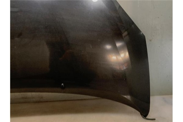 Recambio de capo para renault twingo ii 1.2 16v (c06c, c06d, c06k) referencia OEM IAM   