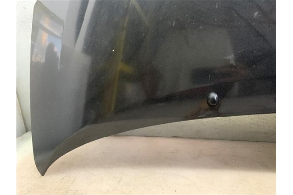 Recambio de capo para renault twingo ii 1.2 16v (c06c, c06d, c06k) referencia OEM IAM   