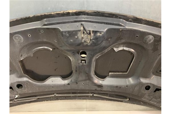 Recambio de capo para renault twingo ii 1.2 16v (c06c, c06d, c06k) referencia OEM IAM   