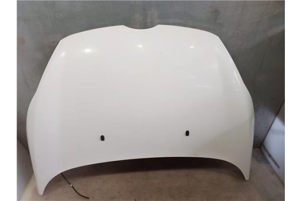Recambio de capo para ford fiesta vi 1.25 referencia OEM IAM   