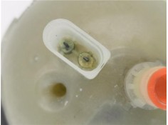 Recambio de botella expansion para bmw serie 1 berlina 5p (f20) 1.6 118i referencia OEM IAM ZB1713760947005 11564310 