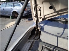 BISAGRA CAPO DERECHA 791202 