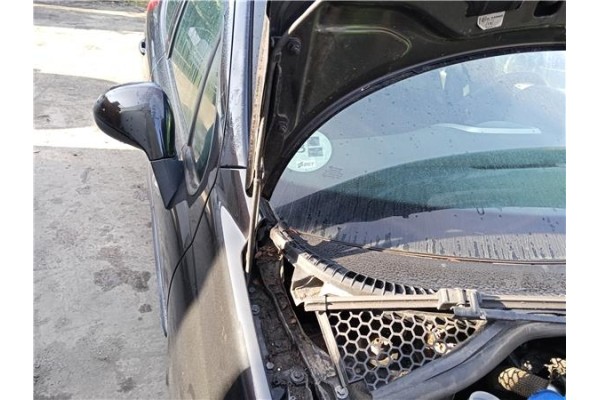 Recambio de bisagra capo derecha para peugeot 207 sw 1.6 hdi referencia OEM IAM 791298  