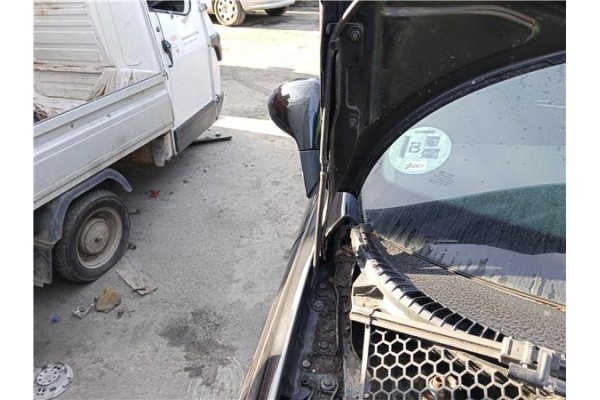 Recambio de bisagra capo derecha para peugeot 207 sw 1.6 hdi referencia OEM IAM 791298  