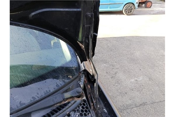 Recambio de bisagra capo izquierda para peugeot 207 sw 1.6 hdi referencia OEM IAM 791297  