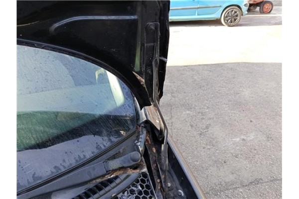 Recambio de bisagra capo izquierda para peugeot 207 sw 1.6 hdi referencia OEM IAM 791297  