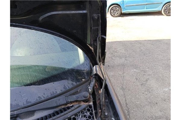 Recambio de bisagra capo izquierda para peugeot 207 sw 1.6 hdi referencia OEM IAM 791297  