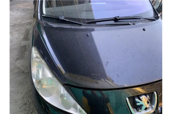 Recambio de capo para peugeot 207 1.4 referencia OEM IAM 7901N2  