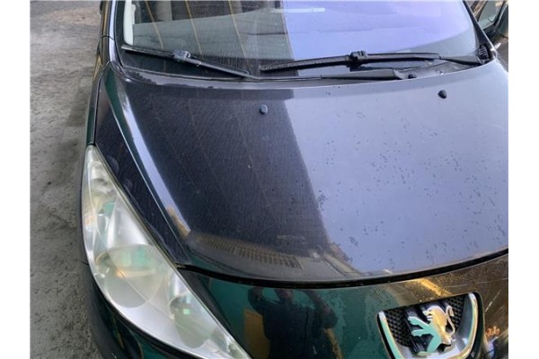 Recambio de capo para peugeot 207 1.4 referencia OEM IAM 7901N2  