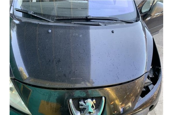 Recambio de capo para peugeot 207 1.4 referencia OEM IAM 7901N2  