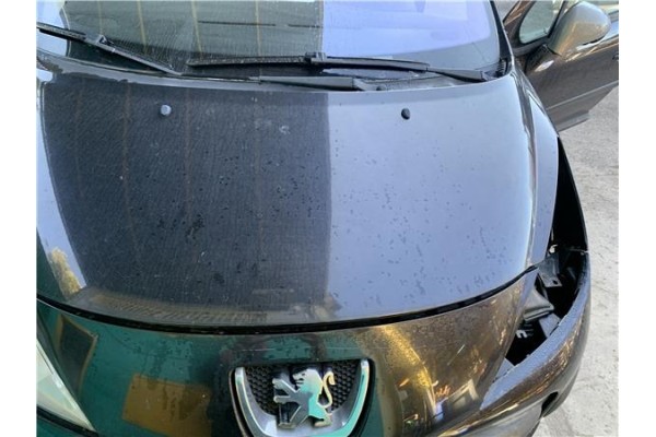 Recambio de capo para peugeot 207 1.4 referencia OEM IAM 7901N2  