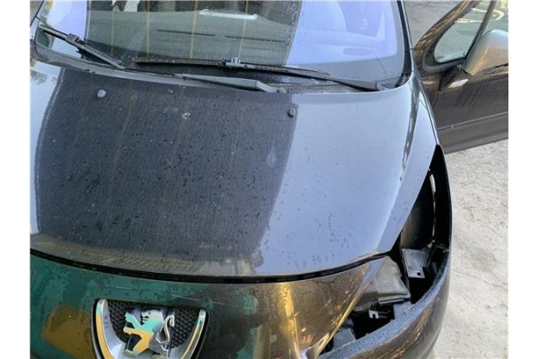 Recambio de capo para peugeot 207 1.4 referencia OEM IAM 7901N2  