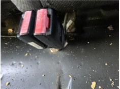 Recambio de anclaje cinturon trasero derecho para peugeot 207 1.4 referencia OEM IAM 9151739 8974TA 