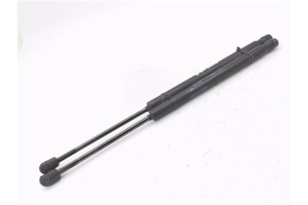 Recambio de amortiguador porton para fiat i doblo (119) 1.3 jtd referencia OEM IAM 904510001R  