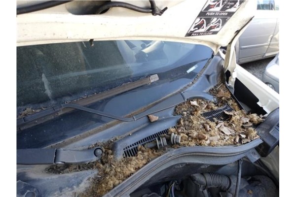 Recambio de brazo limpiaparabrisas delantero izquierdo para peugeot bipper 1.4 básico referencia OEM IAM   