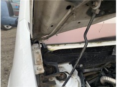 BISAGRA CAPO DERECHA 791345 