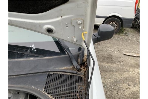 Recambio de bisagra capo izquierda para renault clio iii 1.5 dci (c/br1g) referencia OEM IAM   