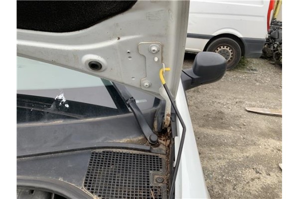 Recambio de bisagra capo izquierda para renault clio iii 1.5 dci (c/br1g) referencia OEM IAM   