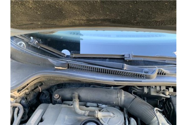 Recambio de brazo limpiaparabrisas delantero derecho para volkswagen golf v (1k1) 2.0 tdi 16v referencia OEM IAM 1K1955410  