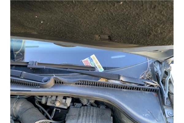 Recambio de brazo limpiaparabrisas delantero izquierdo para volkswagen golf v (1k1) 2.0 tdi 16v referencia OEM IAM 1K1955409  