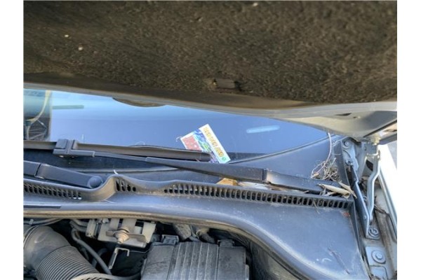 Recambio de brazo limpiaparabrisas delantero izquierdo para volkswagen golf v (1k1) 2.0 tdi 16v referencia OEM IAM 1K1955409  
