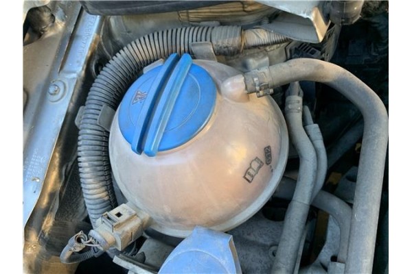 Recambio de botella expansion para volkswagen golf v (1k1) 2.0 tdi 16v referencia OEM IAM 1K0121407A 1K0121407F 