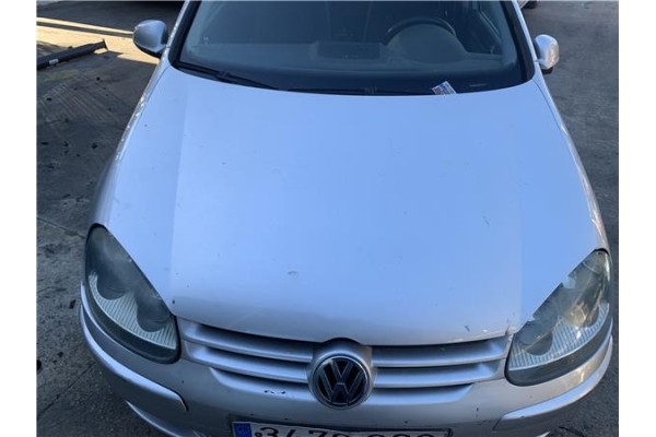 Recambio de capo para volkswagen golf v (1k1) 2.0 tdi 16v referencia OEM IAM 1K0823031J  