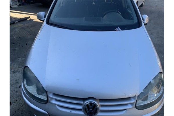 Recambio de capo para volkswagen golf v (1k1) 2.0 tdi 16v referencia OEM IAM 1K0823031J  