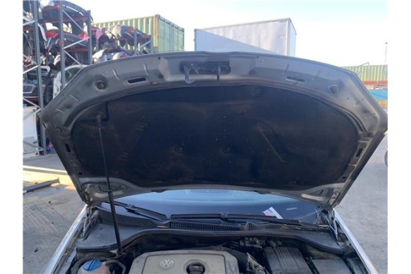 Recambio de capo para volkswagen golf v (1k1) 2.0 tdi 16v referencia OEM IAM 1K0823031J  