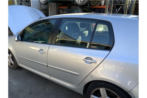 Recambio de puerta trasero izquierda para volkswagen golf v (1k1) 2.0 tdi 16v referencia OEM IAM 1K6833105J  