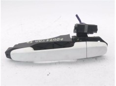 MANETA EXTERIOR TRASERO IZQUIERDA 1612194080 